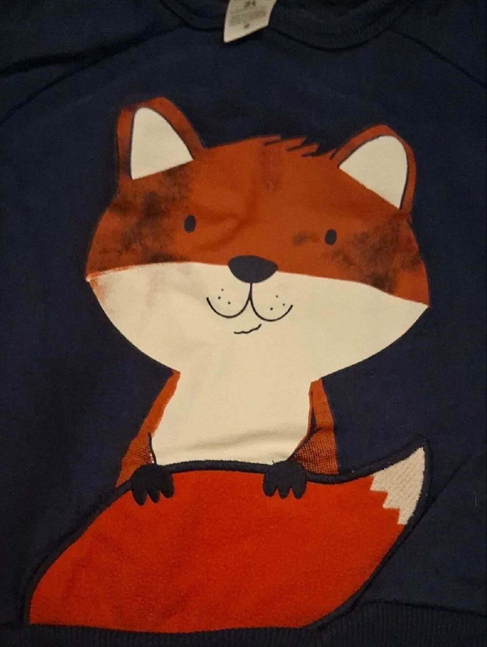 2t Carter's Kids Navy Fox Graphic Sweatshirt And Matching Striped Shirt